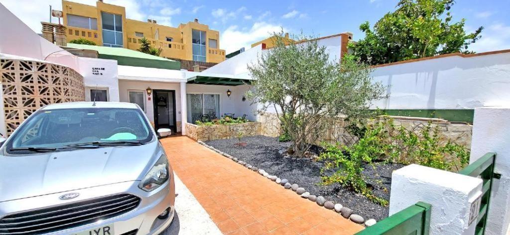 Dos Gatos Fuertaventura Villa Caleta De Fuste Exteriör bild