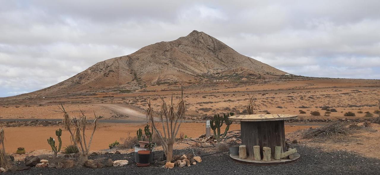 Dos Gatos Fuertaventura Villa Caleta De Fuste Exteriör bild
