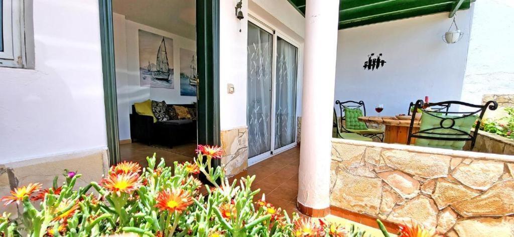 Dos Gatos Fuertaventura Villa Caleta De Fuste Exteriör bild